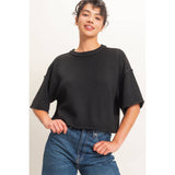 Seam Detail Short Sleeve Knit Top: WHIP CREAM / S-M-L(2-2-2)