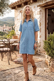 Polka Dot Denim Shirt Dress: BROWN / L